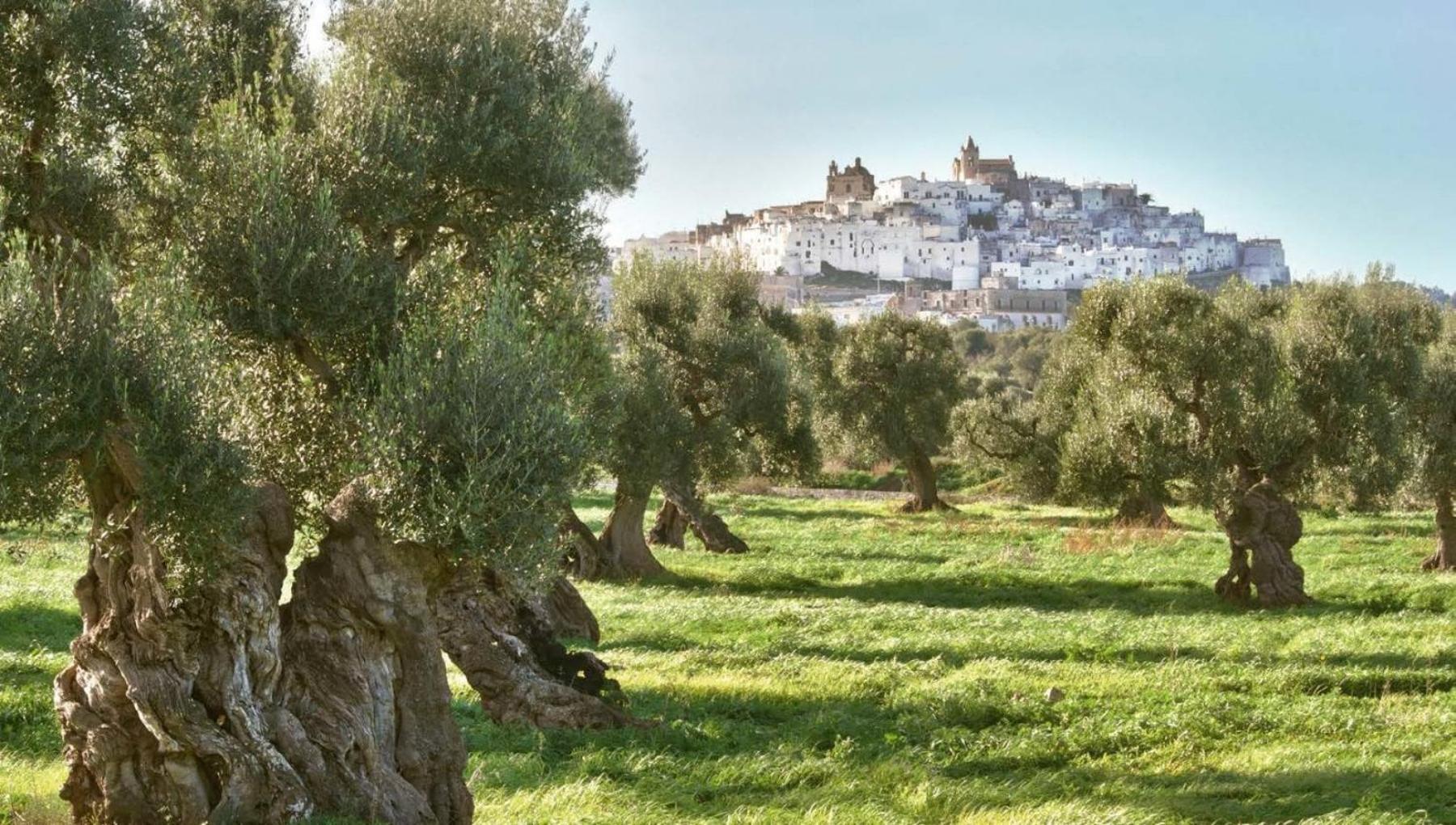 Villa Dimora White 2.0 Ostuni Exterior foto